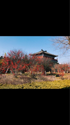 这是一个好评模板，不要看了下面都是废话。因为本仙女很懒不想每个宝贝都写好评所以才模仿网友的好评模板，但是这个宝贝不管是质量还是款式都是本仙女喜欢的如果不喜欢本仙女收到会很生气然后这个模板就会变成各种喋喋不体的吐槽，自然不会撒下这个好评给各位淘友[米奇比心]