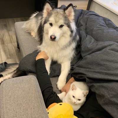 接下来是凑字数接下来是凑字数接下来是凑字数接下来是凑字数接下来是凑字数接下来是凑字数接下来是凑字数接下来是凑字数接下来是凑字数接下来是凑字数接下来是凑字数接下来是凑字数接下来是凑字数接下来是凑字数接下来是凑字数接下来是凑字数接下来是凑字数接下来是凑字数接下来是凑字数接下来是凑字数接下来是凑字数接下来是凑字数接下来是凑字数接下来是凑字数接下来是凑字数接下来是凑字数接下来是凑字数接下来是凑字数接下来是凑字数接下来是凑字数接下来是凑字数接下来是凑字数接下来是凑字数接下来是凑字数接下来是凑字数接下来是凑字数接下来是凑字数接下来是凑字数接下来是凑字数接下来是凑字数接下来是凑字数接下来是凑字数接下来是凑字数接下来是凑字数接下来是凑字数接下来是凑字数接下来是凑字数接下来是凑字数接下来是凑字数接下来是凑字数接下来是凑字数接下来是凑字数接下来是凑字数接下来是凑字数接下来是凑字数接下来是凑字数接下来是凑字数接下来是凑字数接下来是凑字数接下来是凑字数接下来是凑字数接下来是凑字数接下来是凑字数接下来是凑字数 接下来是凑字数接下来是凑字数接下来是凑字数接下来是凑字数接下来是凑字数接下来是凑字数接下来是凑字数接下来是凑字数接下来是凑字数接下来是凑字数接下来是凑字数接下来是凑字数接下来是凑字数接下来是凑字数接下来是凑字数接下来是凑字数接下来是凑字数接下来是凑字数接下来是凑字数接下来是凑字数接下来是凑字数接下来是凑字数接下来是凑字数接下来是凑字数接下来是凑字数接下来是凑字数接下来是凑字数接下来是凑字数接下来是凑字数接下来是凑字数接下来是凑字数接下来是凑字数接下来是凑字数接下来是凑字数接下来是凑字数接下来是凑字数接下来是凑字数接下来是凑字数接下来是凑字数接下来是凑字数接下来是凑字数接下来是凑字数接下来是凑字数接下来是凑字数接下来是凑字数接下来是凑字数接下来是凑字数接下来是凑字数接下来是凑字数接下来是凑字数接下来是凑字数接下来是凑字数接下来是凑字数接下来是凑字数接下来是凑字数接下来是凑字数接下来是凑字数接下来是凑字数接下来是凑字数接下来是凑字数接下来是凑字数接下来是凑字数接下来是凑字数接下来是凑字数