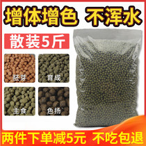 Koi feed does not muddy water and increase the color of the grain germ grain ornamental fish food