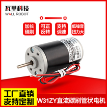 31ZY micro DC permanent magnet motor high power motor speed regulation forward and reverse small motor 6V12V24V