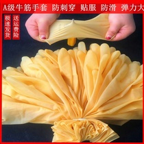 One-time beef tendon gloves Disposable Oxford gloves waterproof household kitchen cleaning hygiene Picking protection Wear-resistant plus