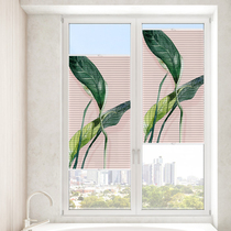 Waterproof and shading of shutters inner curtain hive curtain hive shade bathroom kitchen waterproof shade without installation of punched curtains
