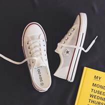 Summer thin air breathable mesh small white shoes in 2020 new casual net canvas shoes student net shoes