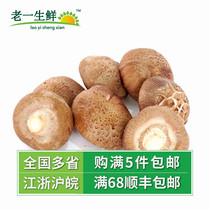 (Old One Fresh) Fresh mushrooms 500g