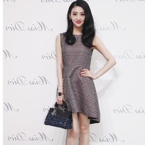 Hong Kong 2020 Jingtian star same style dress houndstooth sleeveless small fragrance a-line skirt woolen temperament womens clothing