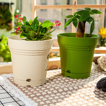 Green flower planting pot thickened plastic simple balcony fleshy narcissus flower pot with tray special clearance