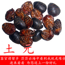 Chinese herbal medicine tu yuan of eupolyphaga sinensis Walker of eupolyphaga sinensis Walker thoroughfare fresh dry 500g non-living dry