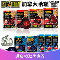 Canada Xijin crawler tortoise imitation moonlight night light all-weather infrared UVA heating lamp