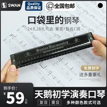 Swan harmonica 24 holes 28 holes adult beginner students Childrens introductory Polyphonic C accent professional performance level