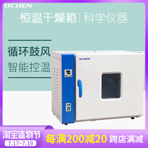 Lichen technology small oven Electric blast constant temperature drying oven Aging box Industrial oven Laboratory drying box