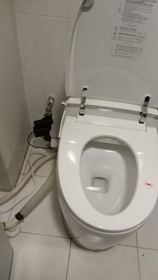 反馈说法恩莎智能马桶怎么样？一个月使用彻底后悔吗