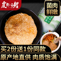 Farmers self-produced Hericium Erinaceus dried goods 150g new goods do not smoke sulfur New Monkey mushrooms edible fungi North and South Dry Goods