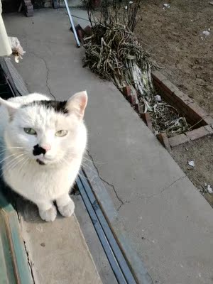 半价买太划算了啊啊啊 ---- 我要去吃章鱼小丸子炸臭豆腐鸡墺烤面筋麻辣鸭脖酸辣粉鳕鱼盖浇饭手抓饼瘦肉丸布丁巧克力奶茶寿司森永水果糖不二家棒棒糖悠哈烤肉汉堡冰淇淋黑森林奶昔慕斯毛血旺鸡公煲串烤羊腿牛板筋糯醋花生驴打滚儿果脯绿豆糕夫妻肺片圆笼粉蒸肉麻辣猪肝掉渣饼东坡肉板栗鸡可乐鸡翅纸包酸奶冰棒芒果西米露肉末茄子软式国面包猫舌饼可丽併小泡芙创冰通心面海绵蛋糕洋葱汤雀巢沙拉西冷牛排橄榄面包三明治汉堡牛肉米线孜然羊排糍粑双皮奶蛋糕豆浆小笼包奶包鸡柳薯片鲜虾片海苔鱼趣臭豆腐麻圆凉皮水单饼披萨油条爆米花 半价买太划算了啊啊啊 ---- 我要去吃章鱼小丸子炸臭豆腐鸡墺烤面筋麻辣鸭脖酸辣粉鳕鱼盖浇饭手抓饼瘦肉丸布丁巧克力奶茶寿司森永水果糖不二家棒棒糖悠哈烤肉汉堡冰淇淋黑森林奶昔慕斯毛血旺鸡公煲串烤羊腿牛板筋糯醋花生驴打滚儿果脯绿豆糕夫妻肺片圆笼粉蒸肉麻辣猪肝掉渣饼东坡肉板栗鸡可乐鸡翅纸包酸奶冰棒芒果西米露肉末茄子软式国面包猫舌饼可丽併小泡芙创冰通心面海绵蛋糕洋葱汤雀巢沙拉西冷牛排橄榄面包三明治汉堡牛肉米线孜然羊排糍粑双皮奶蛋糕豆浆小笼包奶包鸡柳薯片鲜虾片海苔鱼趣臭豆腐麻圆凉皮水单饼披萨油条爆米花