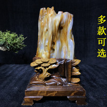 Burmese tree jade ornaments ice species wood fossils silicified wood raw stone living room ornamental ore stone size ornaments optional