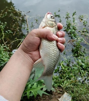 很轻,好评 很轻,好评