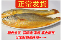 (Normal hair) 3 Jin 128 yuan sea fish fresh yellow croaker fresh yellow croaker large yellow croaker frozen aquatic products
