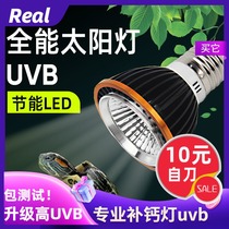 Turtle sun back light uvb turtle light uva full spectrum led sun light turtle tank reptile turtle light calcium three in one
