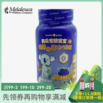 7905 Meloists Bear Baby Bone Wood Berry Sandwich Soft Sugar New Upgrade Environmental Protection Supermarket Official Web