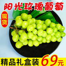 Pure Fragrant Fruit Shaanxi Sunshine Rose Green Seedless Grape Gift Box 3 Jin Big Fruit Fresh Season