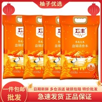 China Resources Wufeng Pancake Jinqing fragrant rice 5kg * 4 bags of high-quality Northeastern rice 20kg 40 catty of new Mitte price