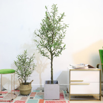 Nordic simulation olive tree potted ins green plant floor decoration Indoor fake plant decoration tree decoration