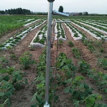 Seeder Agricultural Film Breaker Funnel Seedling SpotCaster Rice Corn Seedling Puncher Transplanter Seedling Mover Seedling Shoveler