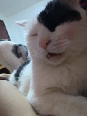 若你为了拥有美好情人和理想爱情,不断掩盖自己的不美好和不理想,那么最终你不但找不到自己,也会得不到感情。那些好与不好都应该在太阳下面透透气,有的会长大,有的会蒸发,别藏起来,那是它们自己的命运。 若你为了拥有美好情人和理想爱情,不断掩盖自己的不美好和不理想,那么最终你不但找不到自己,也会得不到感情。那些好与不好都应该在太阳下面透透气,有的会长大,有的会蒸发,别藏起来,那是它们自己的命运。 