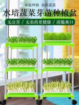 Hydroponic seedling shelf multi-layer bean sprout basin homemade home-grown sprouts container seedling dish for raw bean sprouts