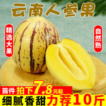 Spot Yunnan Shilin ginseng fruit fresh fruit 2kg 3kg big fruit colorful yellow meat human fruit round fruit