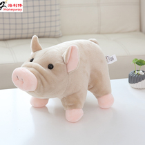 Hai Liwei auspicious pig plush toy pig doll simulation Piggy doll girl Zodiac birthday gift
