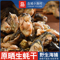 Qingdao with anointed sand-free Oyster dry special wild oyster drum oyster dry oyster dry sea oyster dried seafood dry