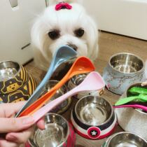 Nice to use with a long and long handle Rainbow Spoon Dog Canned Cat Food Spoon Dog Food Spoon Cat Canned Spoon Dog Food Spoon Milk Powder