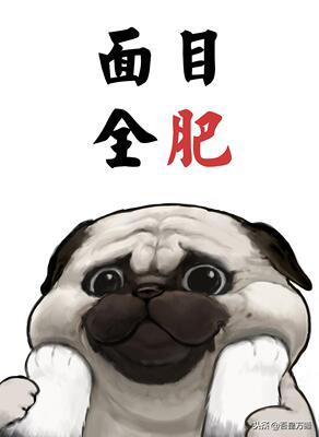 东西真的很满意!  和我的想象是一样的，一点都没有让我失望，这个价格真的是性价比超级高了，以后有需要还会来的，卖家也很好，有耐心，服务也很到位快递也很给力，总之是一次非常愉快的购物经历!希望卖家平时多搞一些活动或者促销，生意越来越红火!来自一位慵懒的只爱购物不爱写评语却想换积分的仙女!