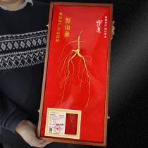 Wild mountain ginseng first-class product gift box Changbai mountain forest down to move wild ginseng with certificate Northeast specialty soaked alcohol products