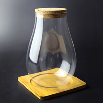 Landscape plant ecological Moss hydroponic Fresh potted plant mini landscape water and land bonsai Moss creative seaweed mari