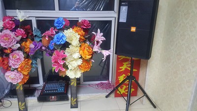 体验fross沸斯音响真的是假洋品牌吗?口碑怎么样,适合KTV吗?