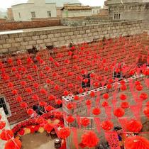 Wedding happy character planning big red hanging lights wedding banquet rural wedding wedding ceremony courtyard site outdoor pull flowers