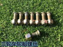 Positive wire anti-wire tricycle tire steel ring screw 22 wheel screw nut fixed 14MM electric car motorcycle