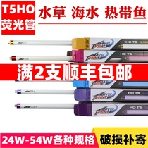 Fish tank lighting special lamp Full spectrum Langfeng aquatic plant lamp Explosion-proof algae lamp Grass tank aquarium lamp Seawater tank lamp T5ho