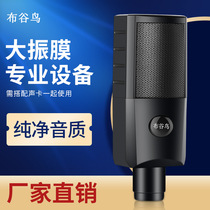 F100 computer live dedicated microphone mobile phone recording Android Apple popular K song microphone online class soundtrack