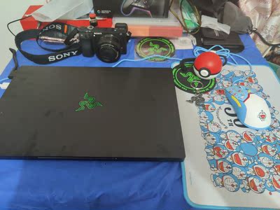 雷蛇灵刃15标准版挺好的吧？