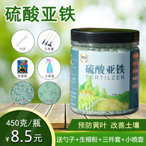 Ferrous sulphate granulated flower fertilizer acidic anti-yellow leaf flower indoor and outdoor potted plants universal fertilizer