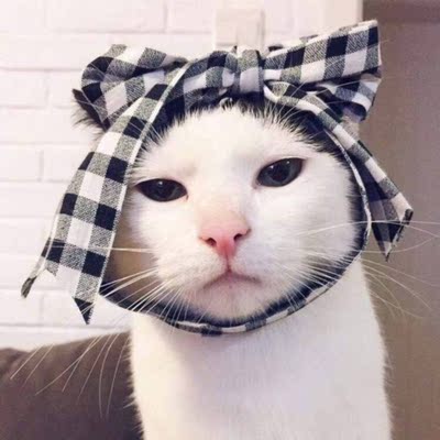 好看好看好看好看好看好看好看