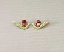 Retired old inventory new metal badge old-fashioned 87 collar flower Wu last century collection Commemorative Medal