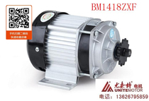 Unite permanent magnet DC reduction brushless motor BM1418ZXF-500W48V36V60V electric vehicle motor