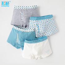 Boys panties Boxer briefs Cotton shorts Color bridge boy Middle child teen student Small child panty man
