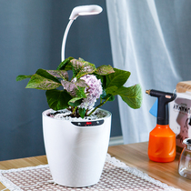 Self-absorbing lazy man planting flower artifact indoor smart round plastic flowerpot desktop with plant fill light Full Spectrum