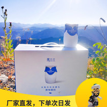 Ma Sansan yogurt Xinjiang original fermented milk old yogurt 180g * 12 cans of gift box full box childrens drinks 0 Add