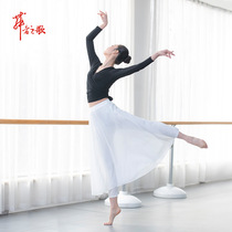 Modern dance practice pants one pants skirt classical Latin dance dress yoga dance training training chiffon dress