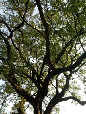 物流速度非常快，看着性欲就来了，洗干净了再上图